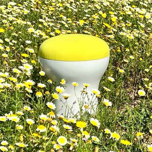 tabourets cryptogamme roger tallon sentou edition fleurs